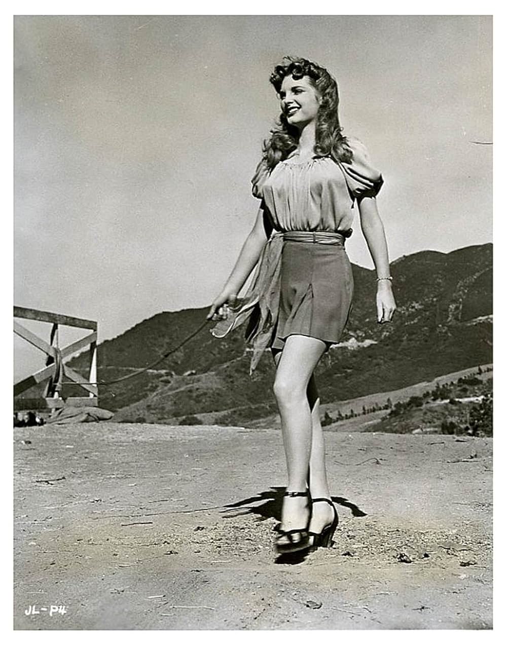 愛と血の大地の画像