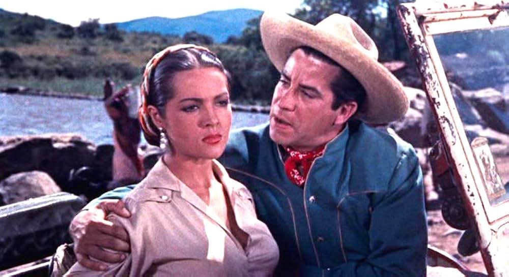 愛のセレナーデの画像