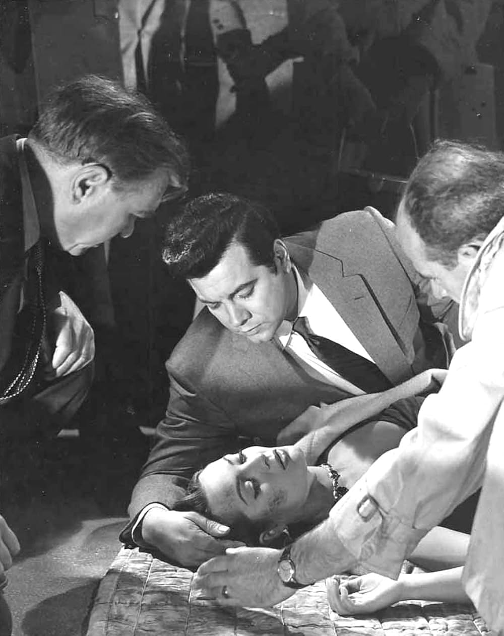 愛のセレナーデの画像