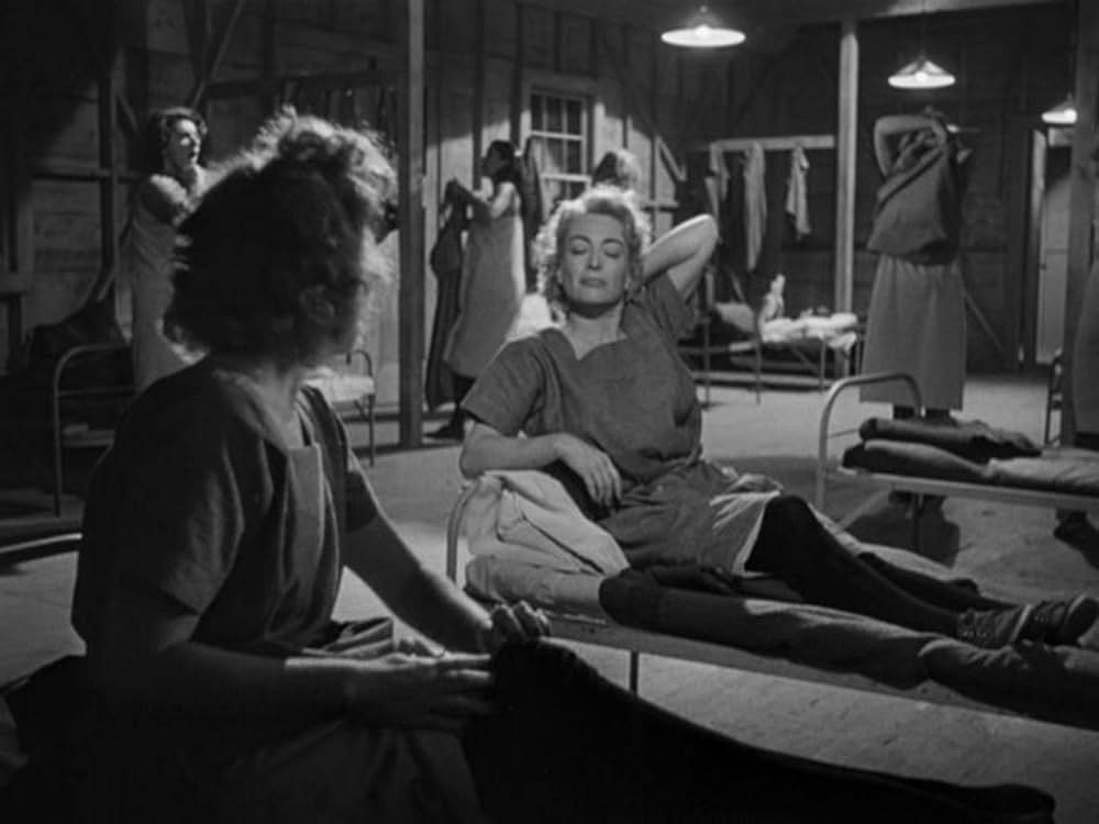 美しさ故にの画像