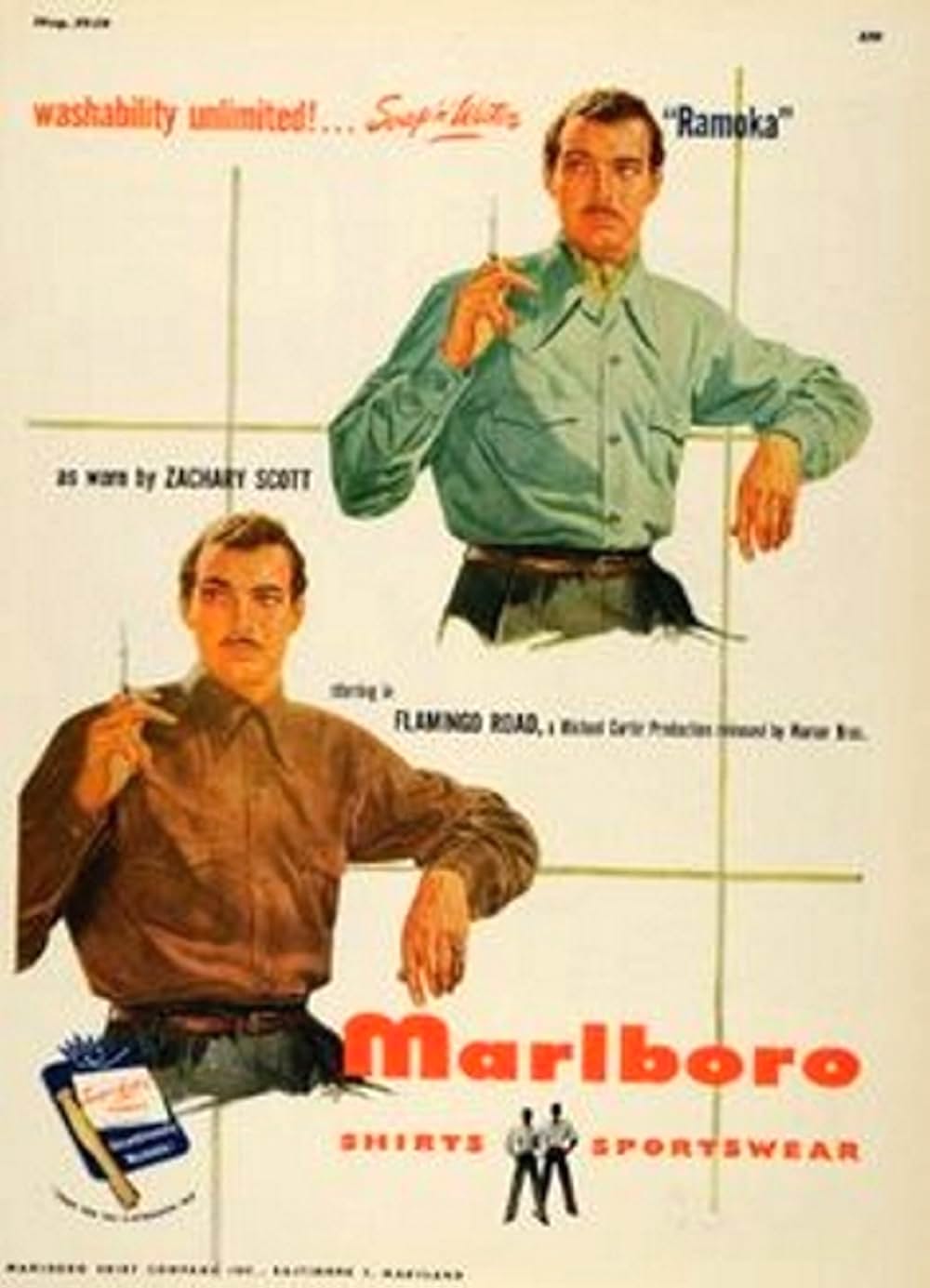 美しさ故にの画像