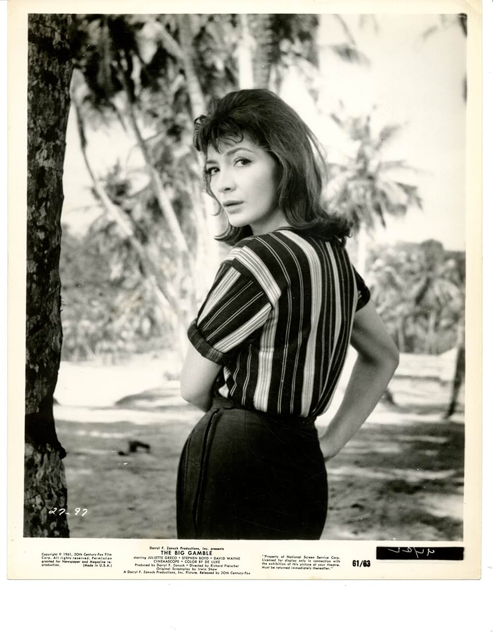 栄光のジャングルの画像