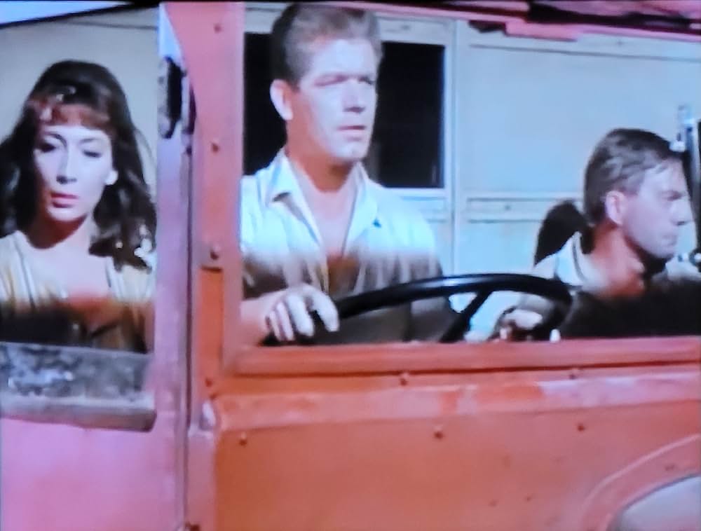 栄光のジャングルの画像