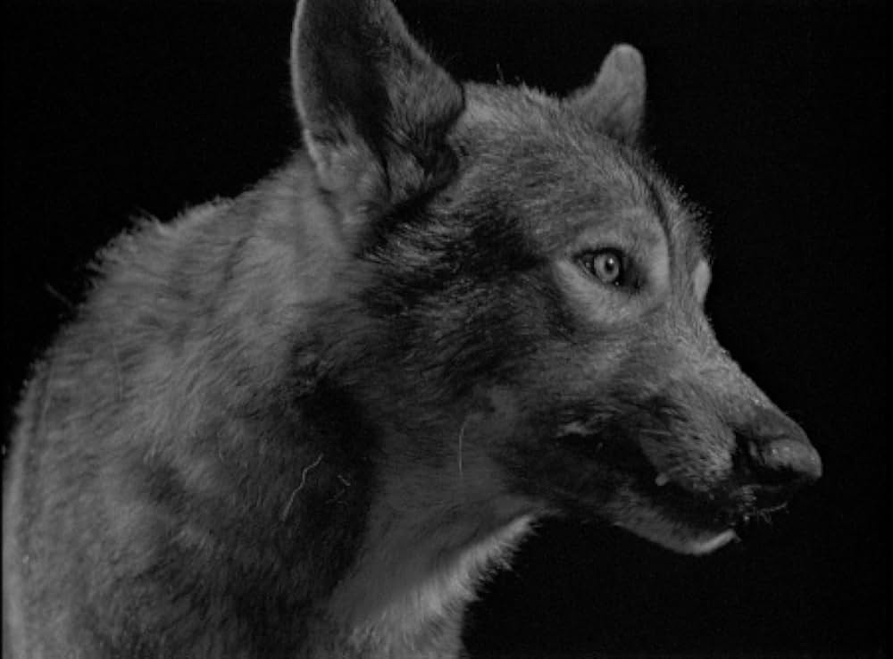 狼人間の絶叫の画像