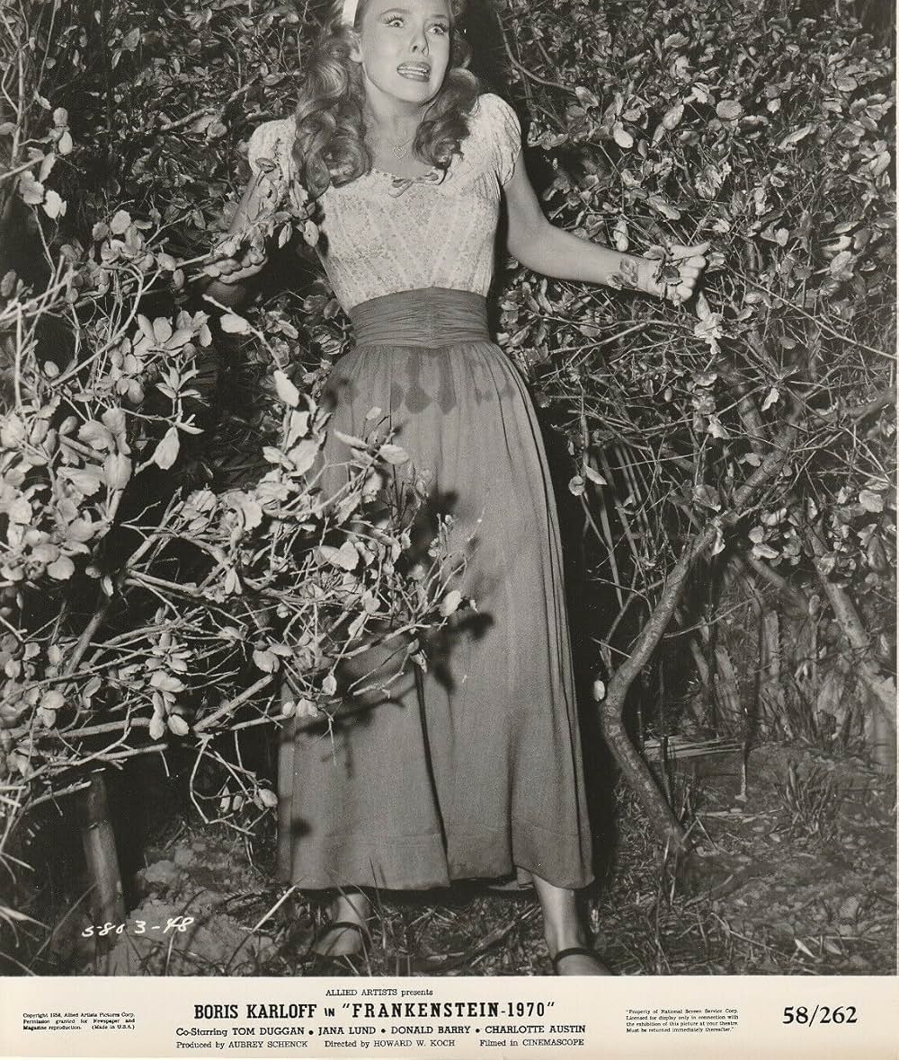 怪奇フランケンシュタイン1971の画像