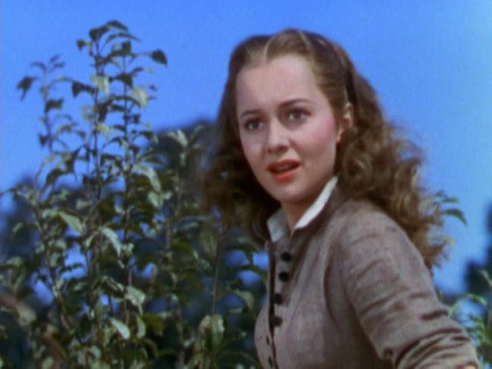 黄金の罠の画像