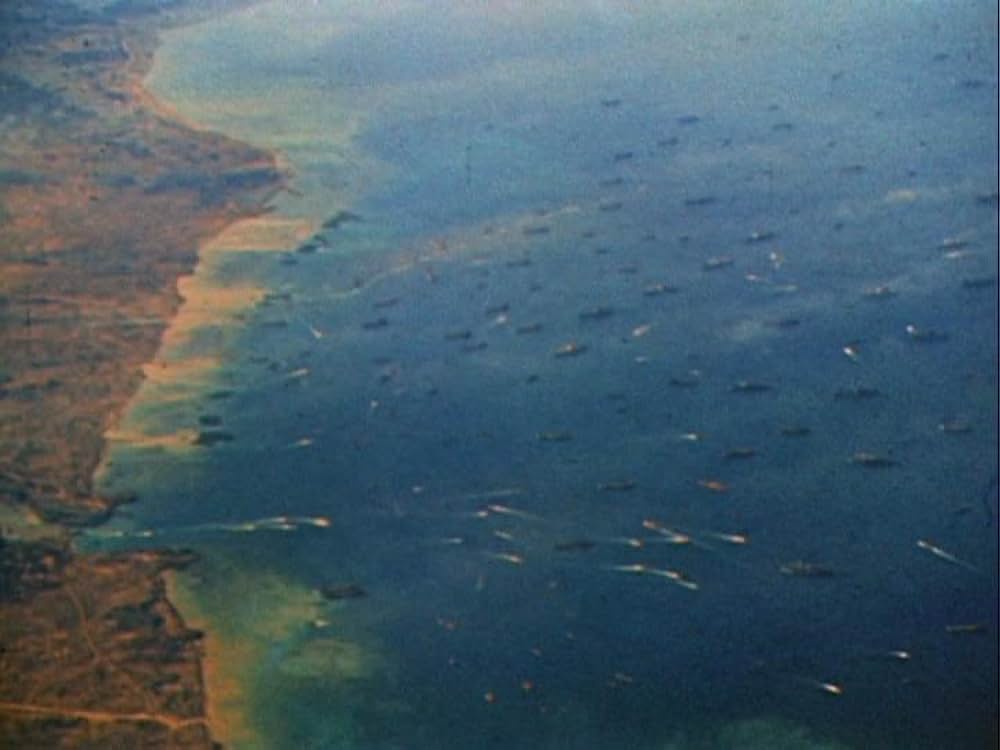 機動部隊の画像