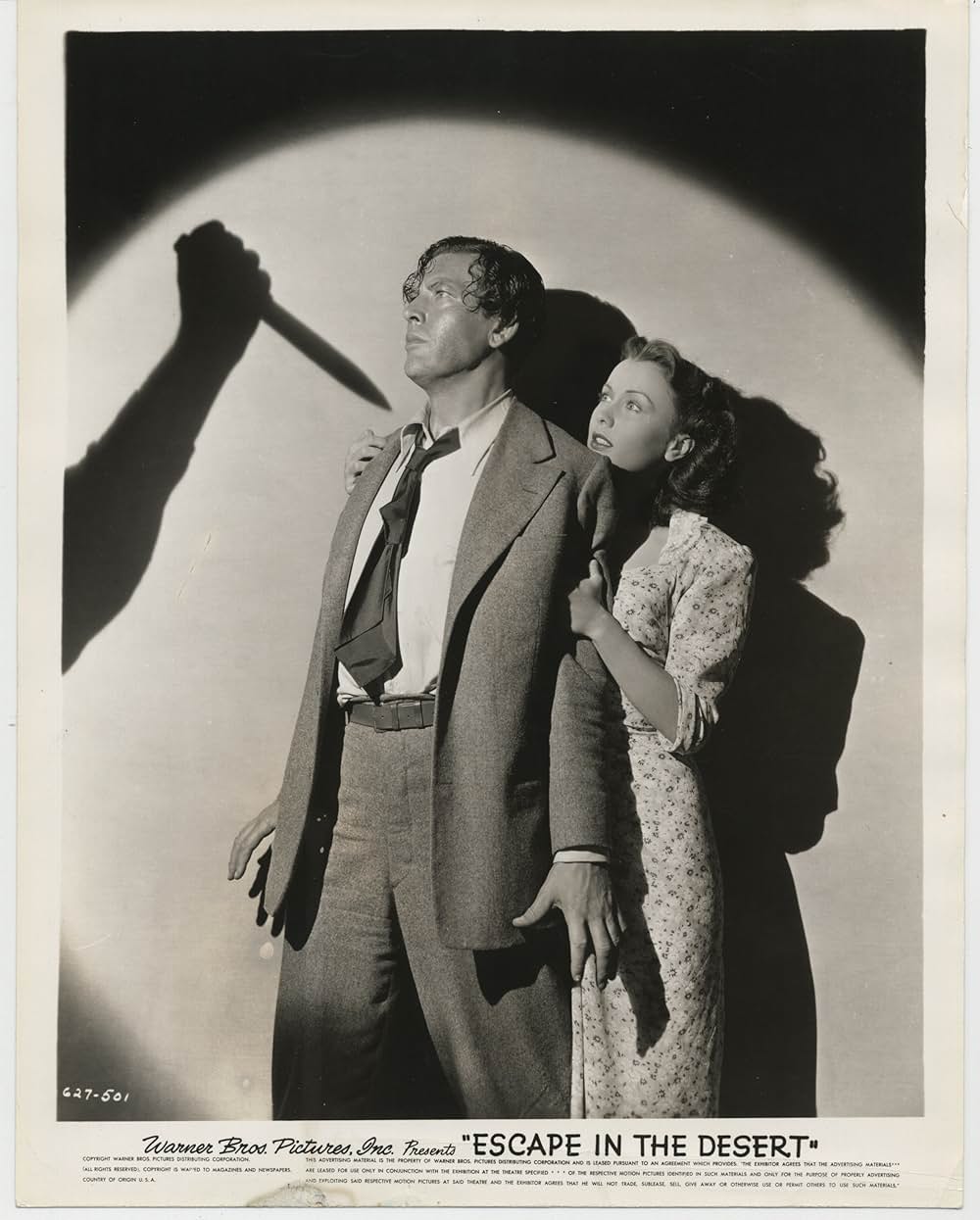 砂漠の逃亡の画像