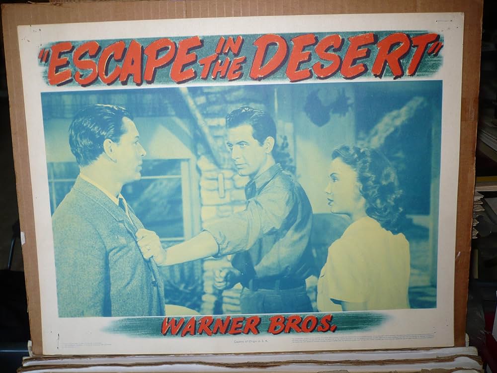 砂漠の逃亡の画像