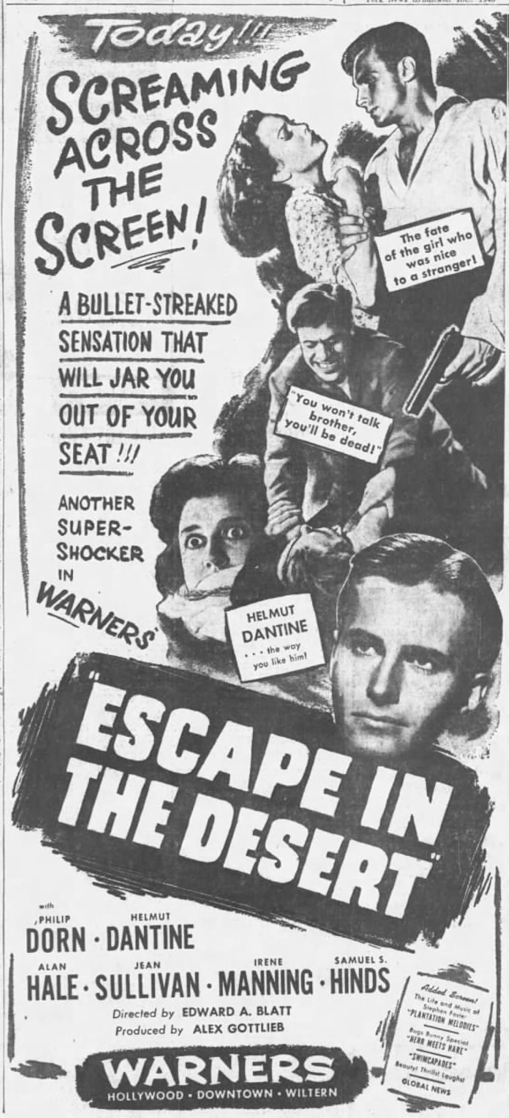 砂漠の逃亡の画像