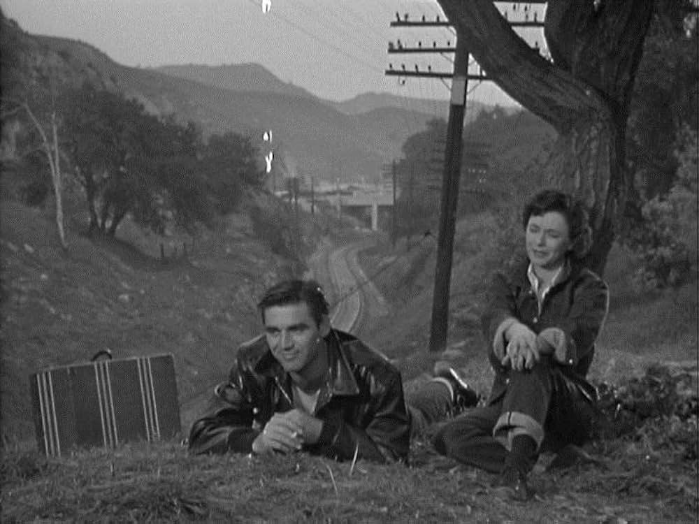 殺人波止場／殺人逃亡者の画像