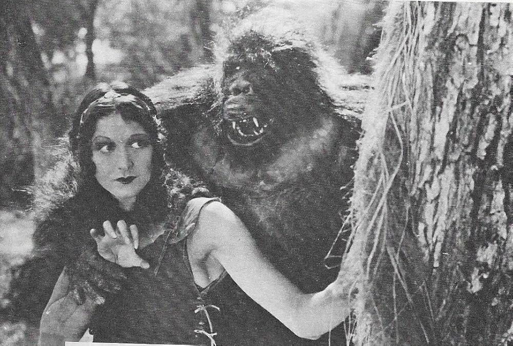 猛虎ターザンの画像