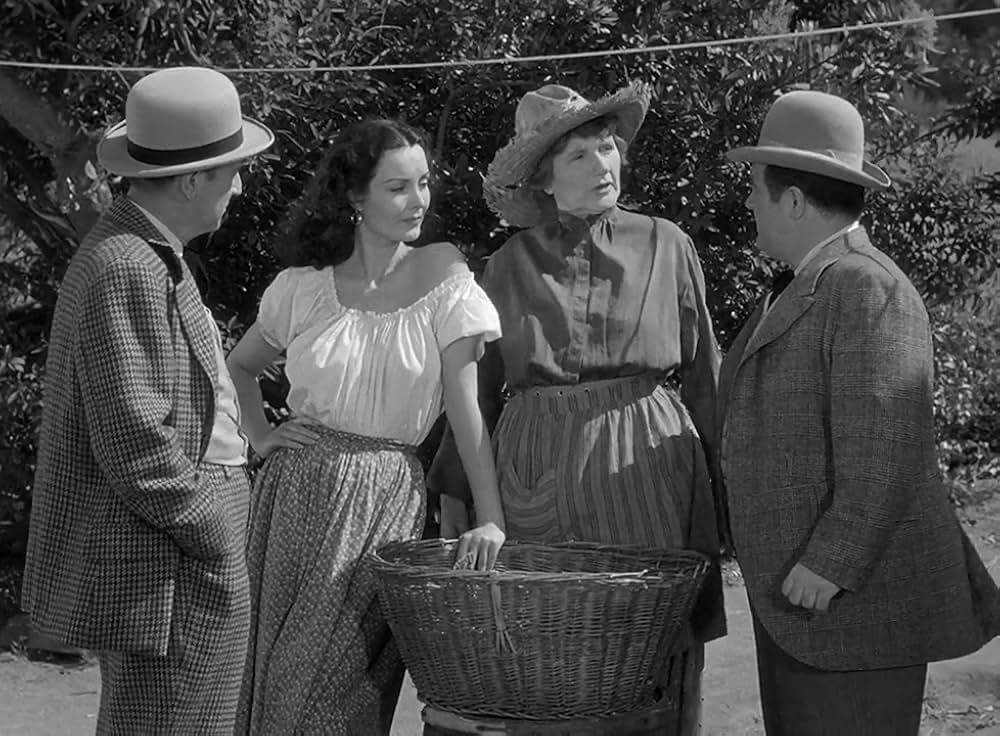 凸凹西部の巻の画像