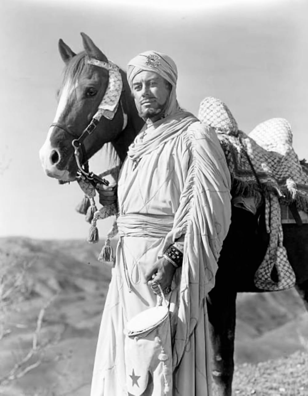 獅子王リチャードの画像