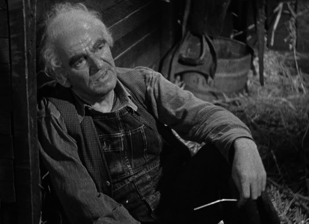 死体は追うの画像