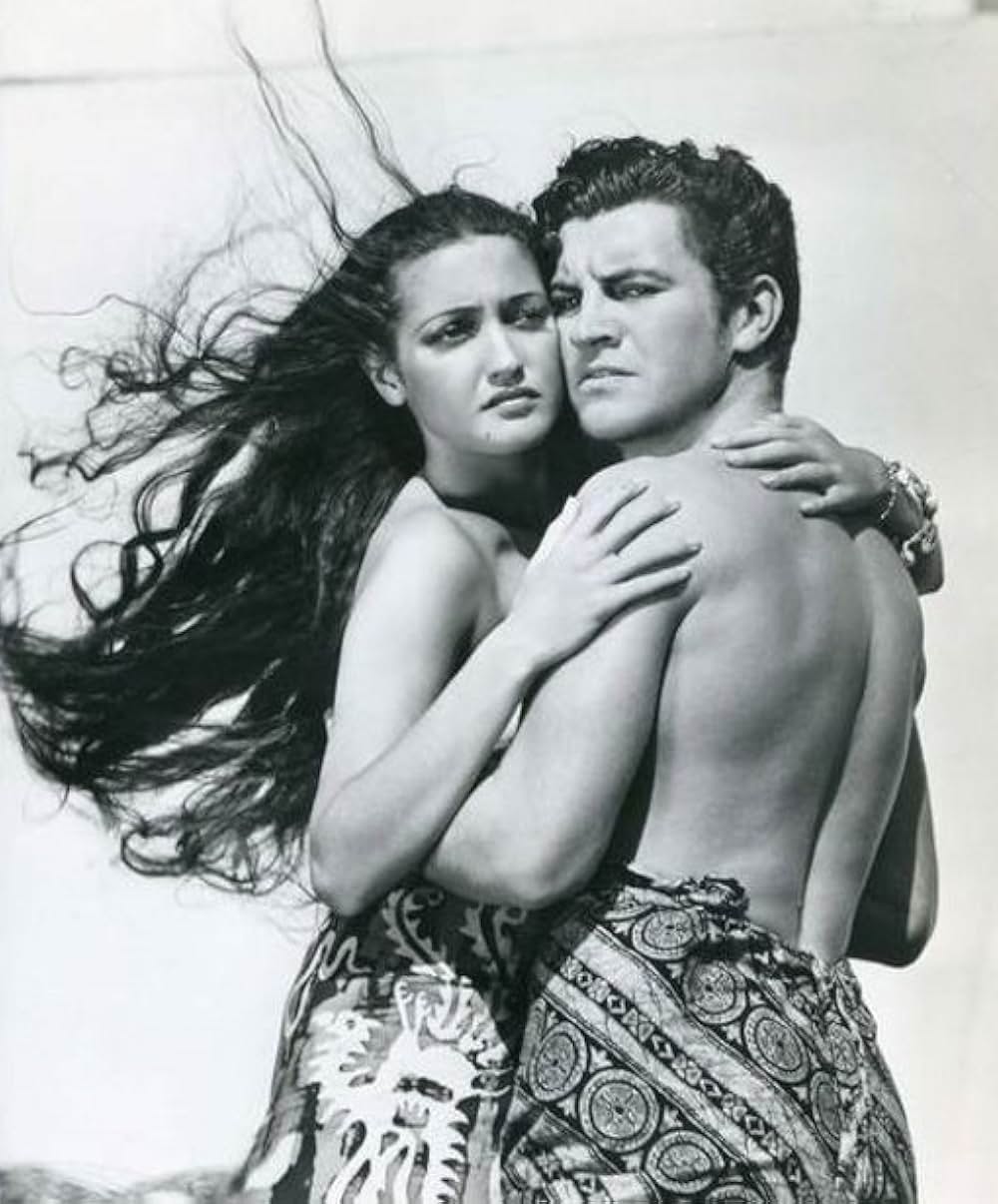 タイフーンの画像