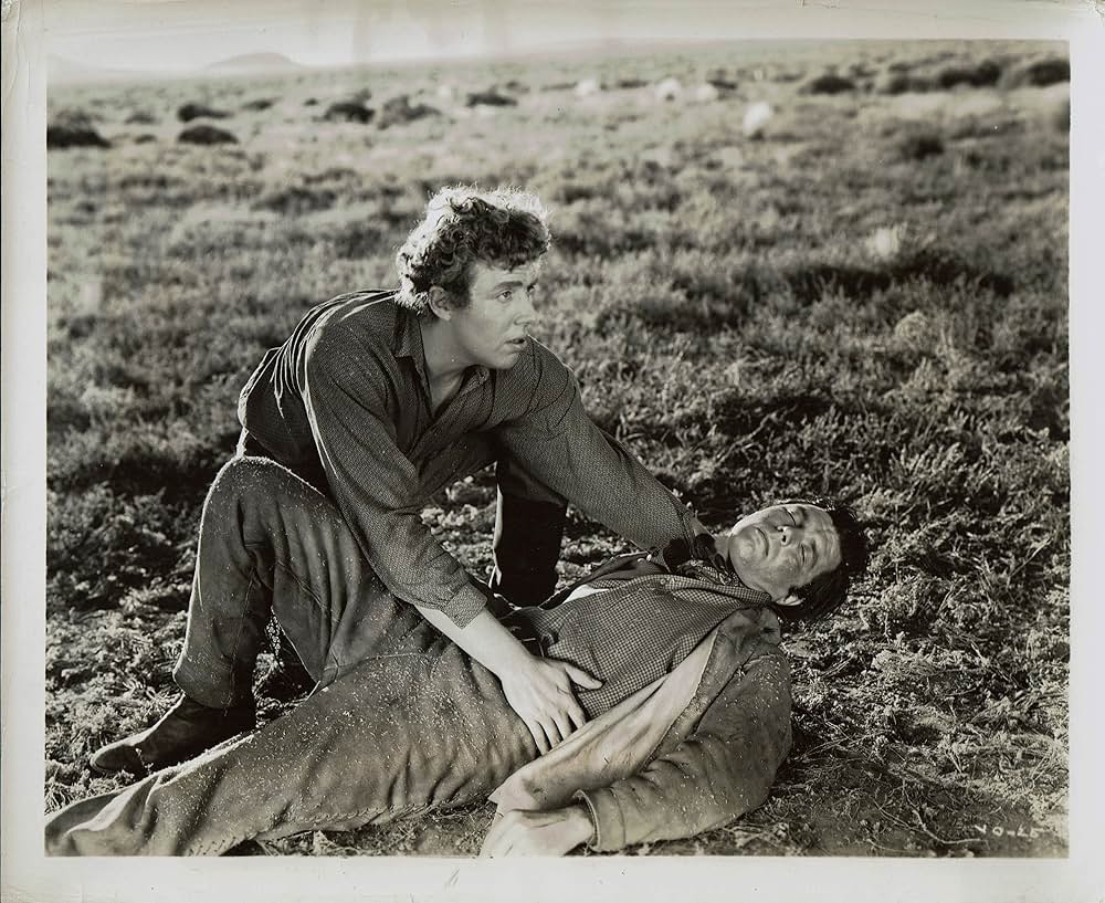 太陽の谷間の画像