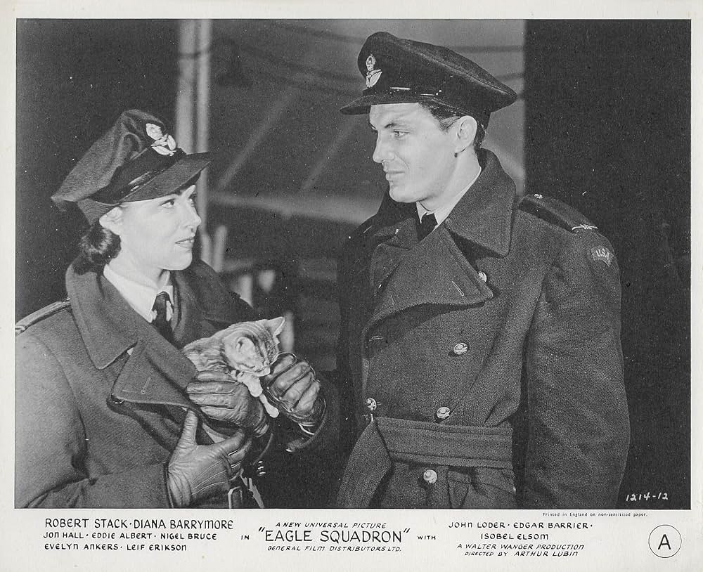 荒鷲戦隊の画像