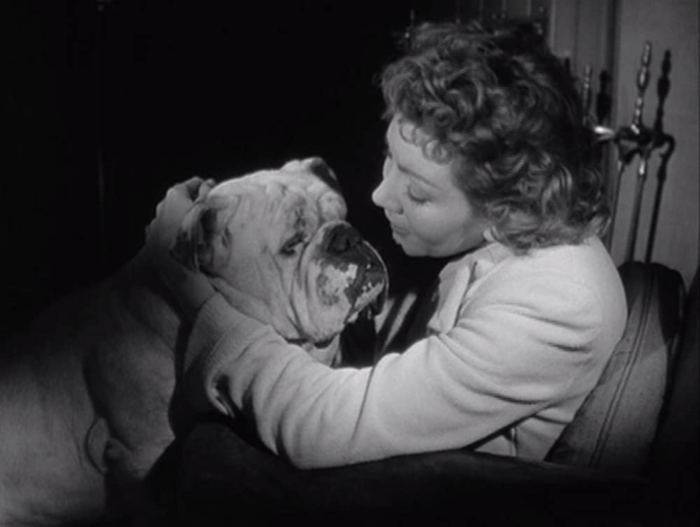 君去りし後の画像