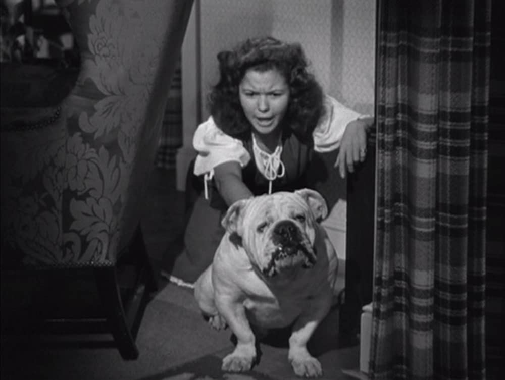 君去りし後の画像