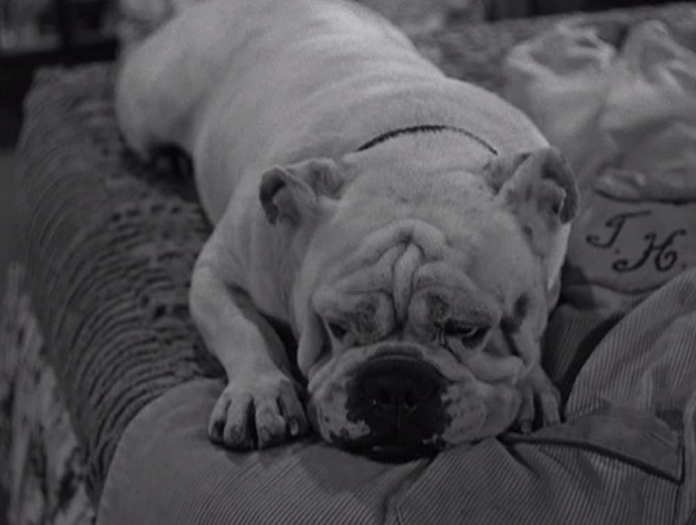 君去りし後の画像