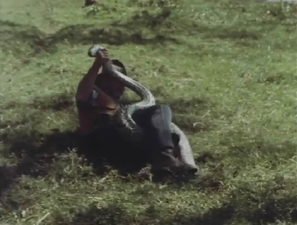 黄金の牙の画像