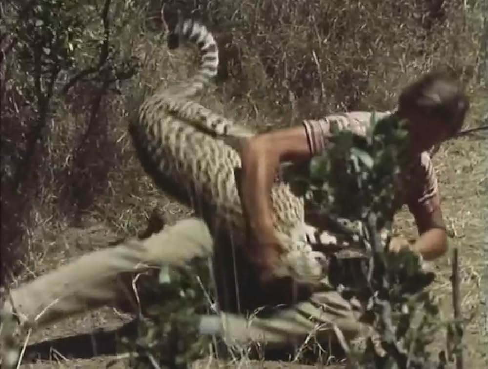 黄金の牙の画像