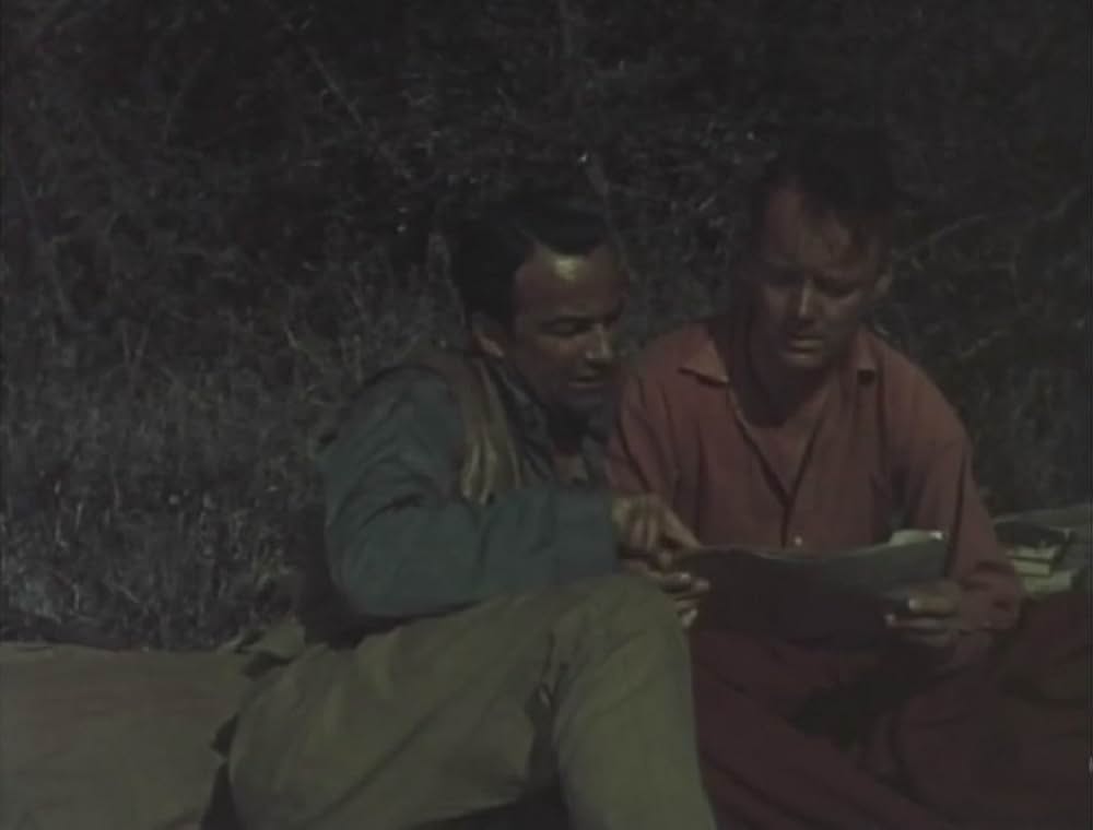 黄金の牙の画像