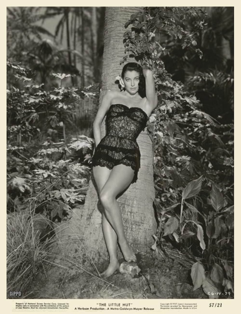 潮風のいたづらの画像