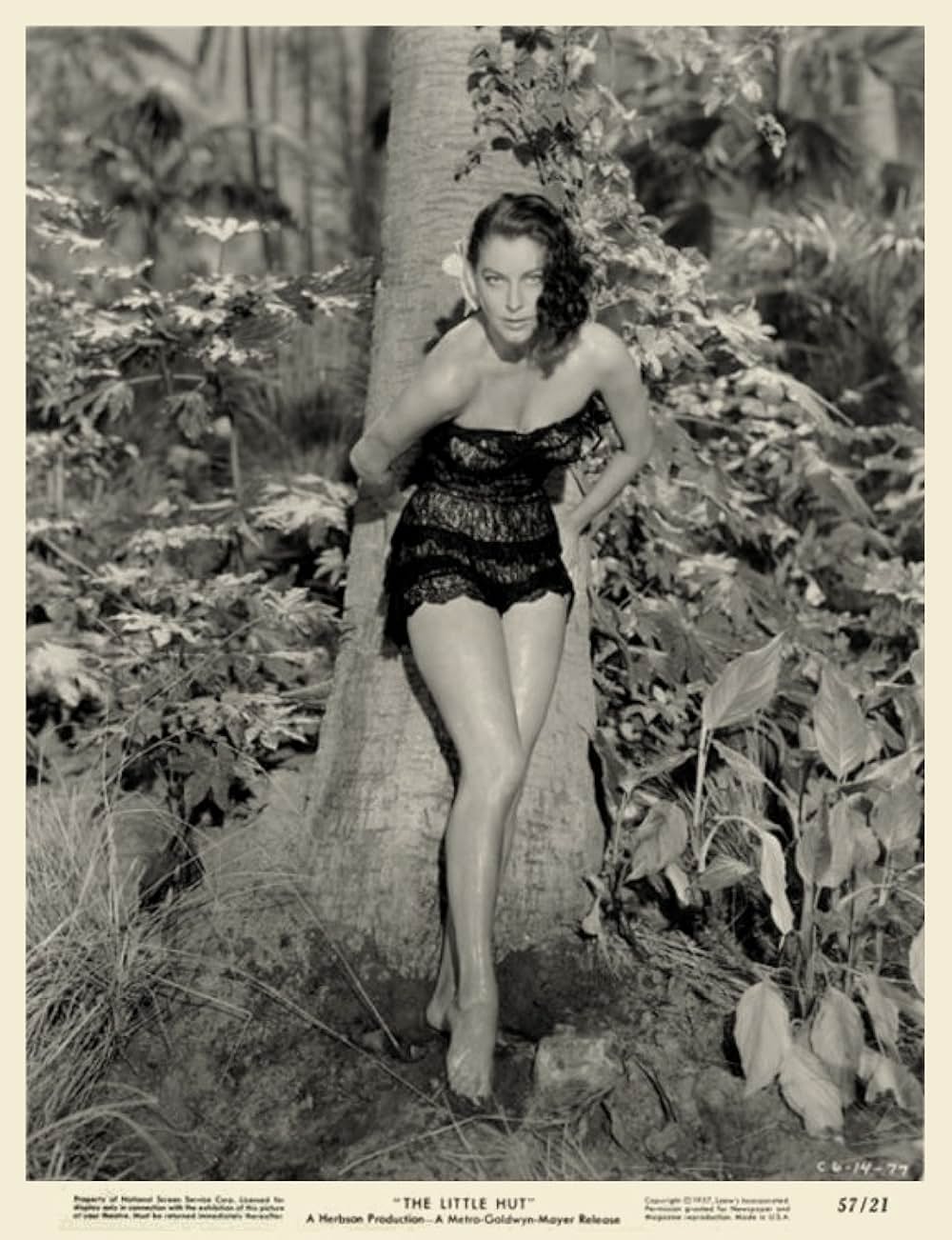 潮風のいたづらの画像