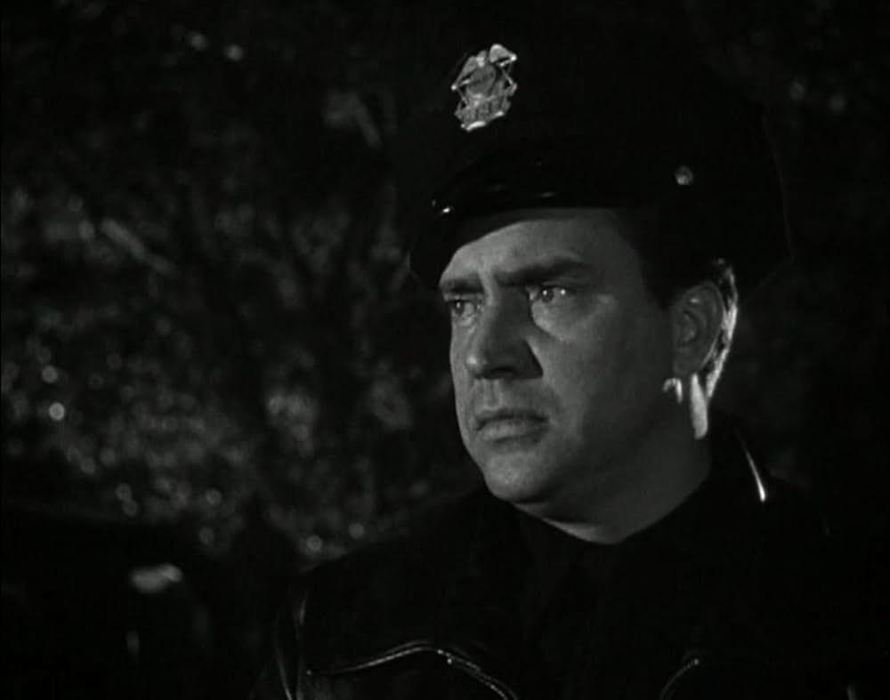 拳銃無情の画像