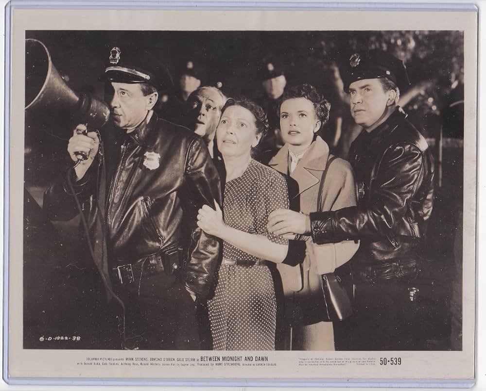 拳銃無情の画像