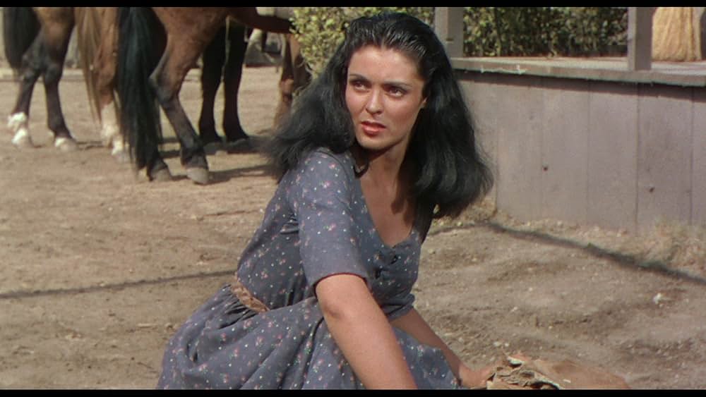 戦いの矢の画像