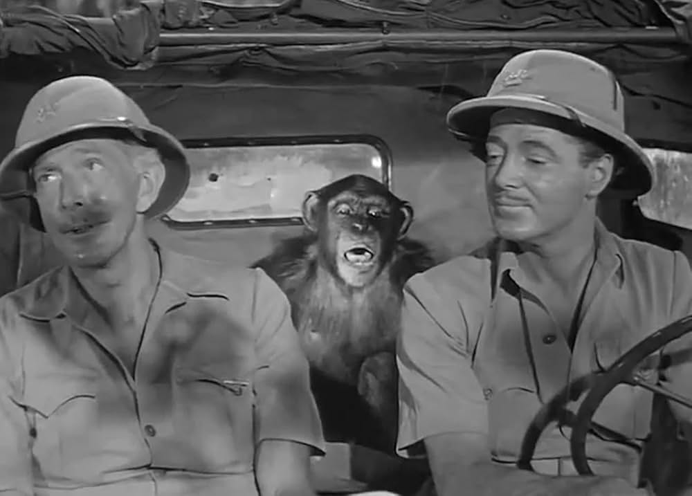 ターザンと密林の王女（ジャングル・クイーン）の画像