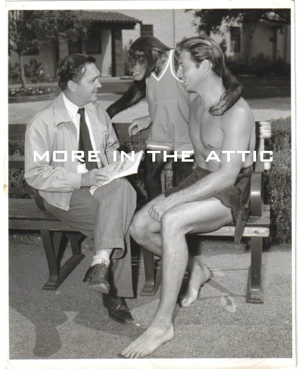 ターザンと密林の王女（ジャングル・クイーン）の画像