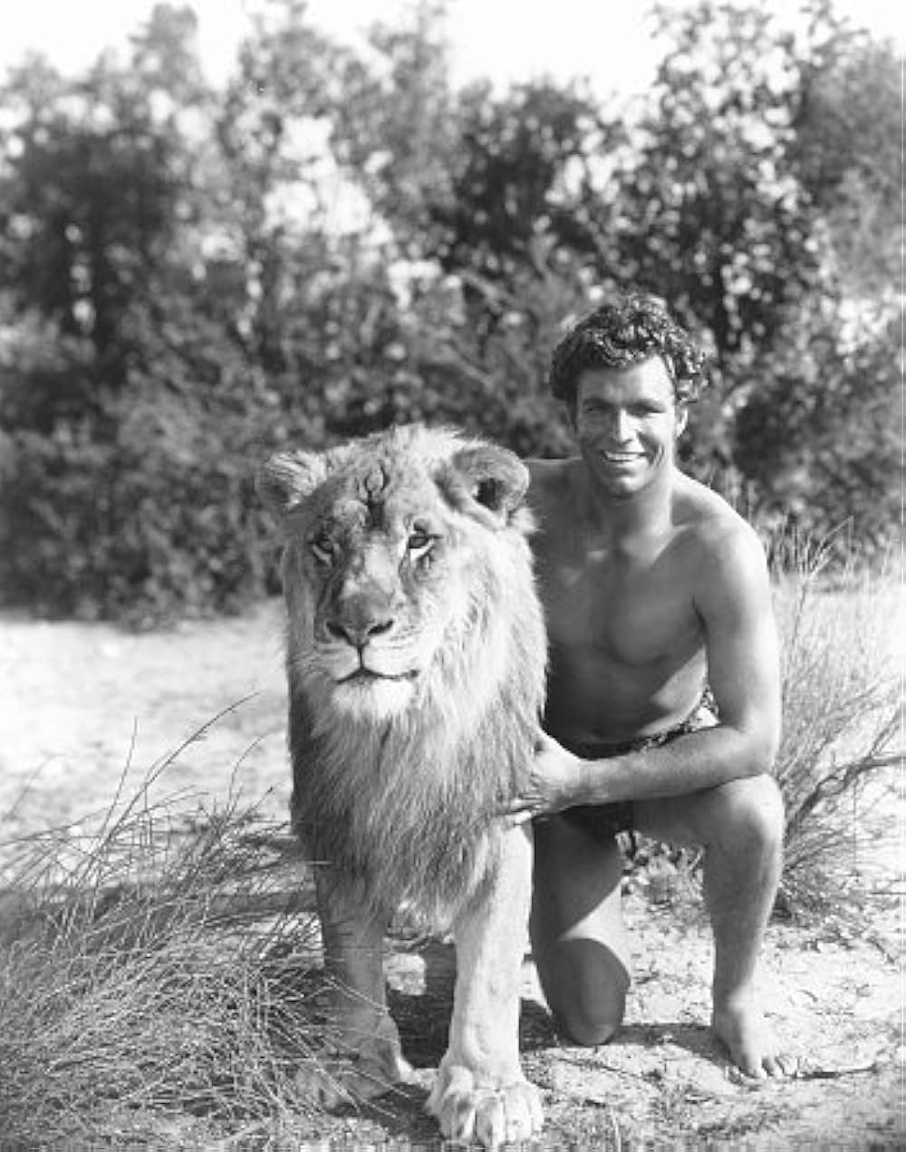 蛮勇タルザンの画像