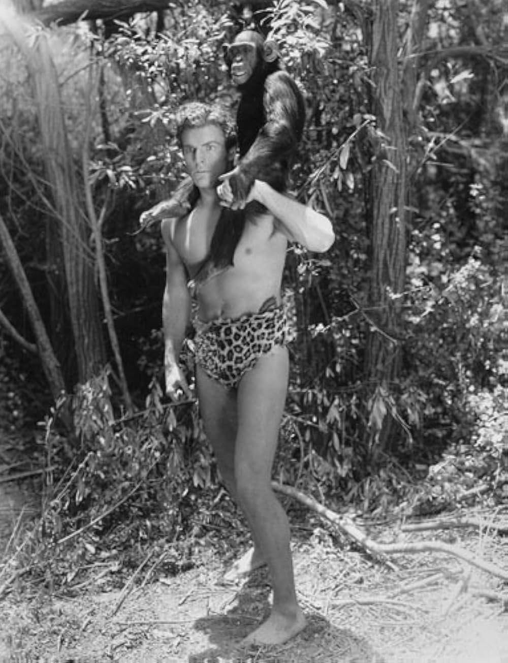 蛮勇タルザンの画像