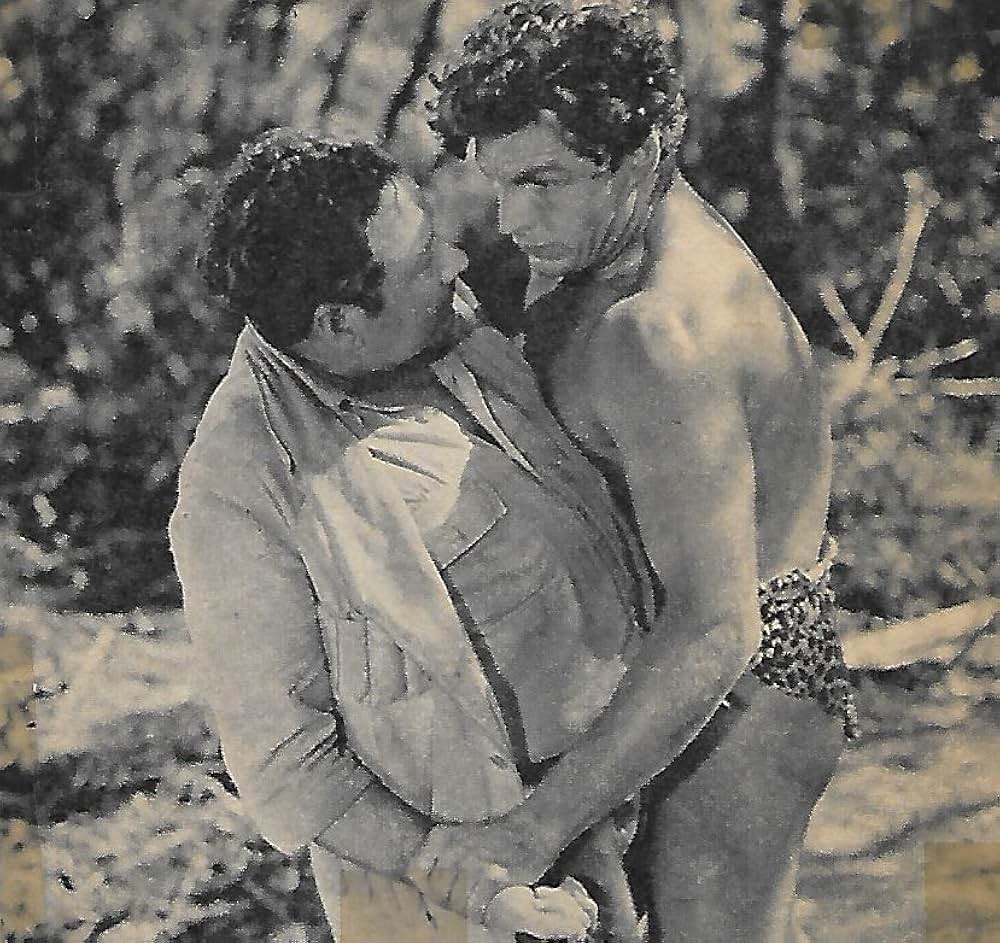 蛮勇タルザンの画像