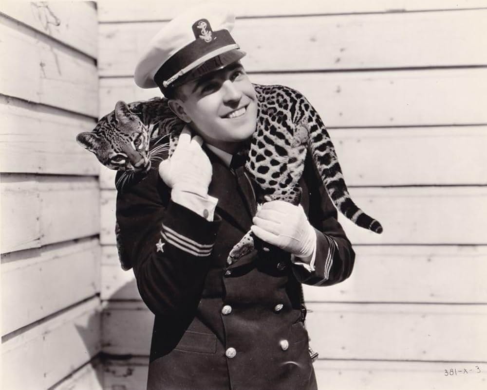 大飛行艦隊の画像