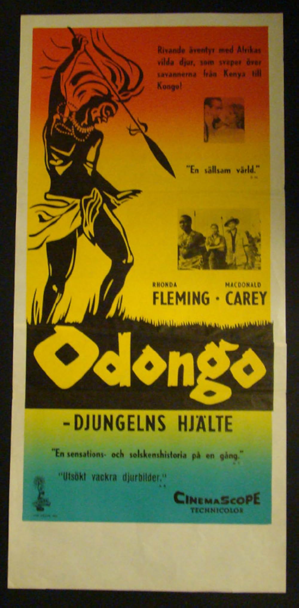 オドンゴの画像