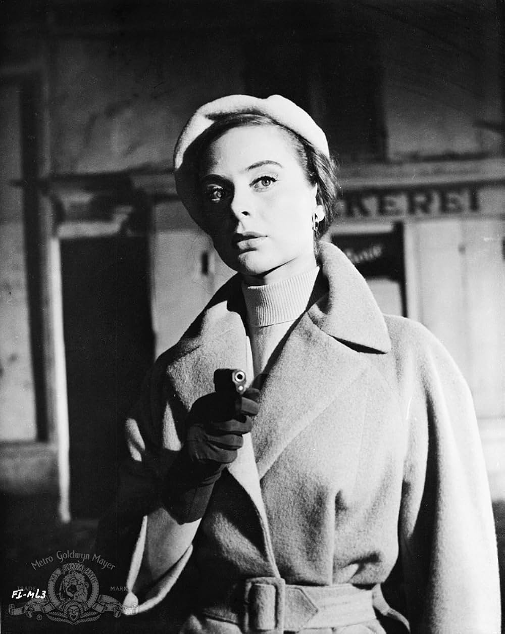 外国の陰謀の画像