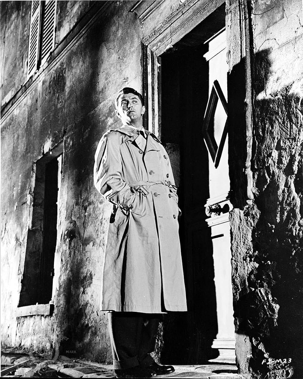 外国の陰謀の画像