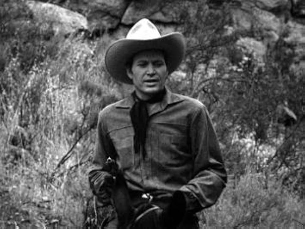 荒原の追撃の画像