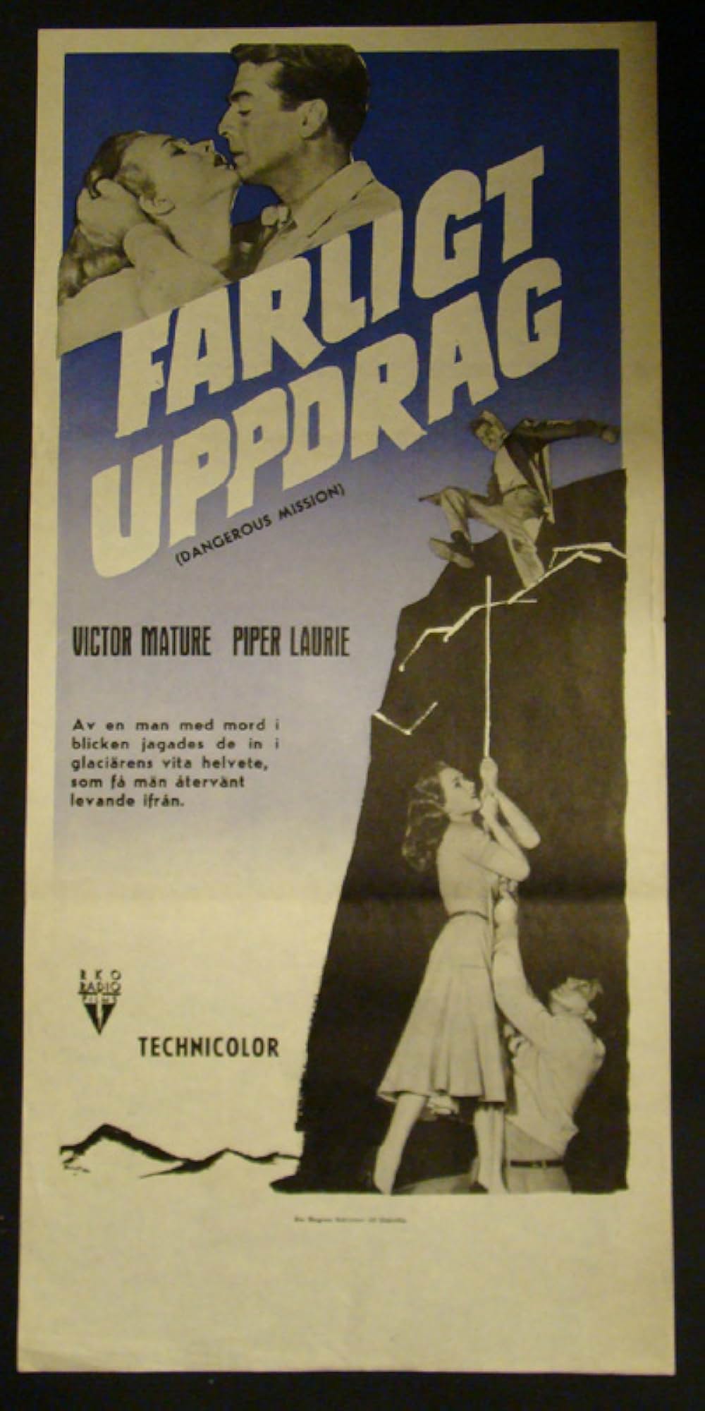 雪原の追跡の画像