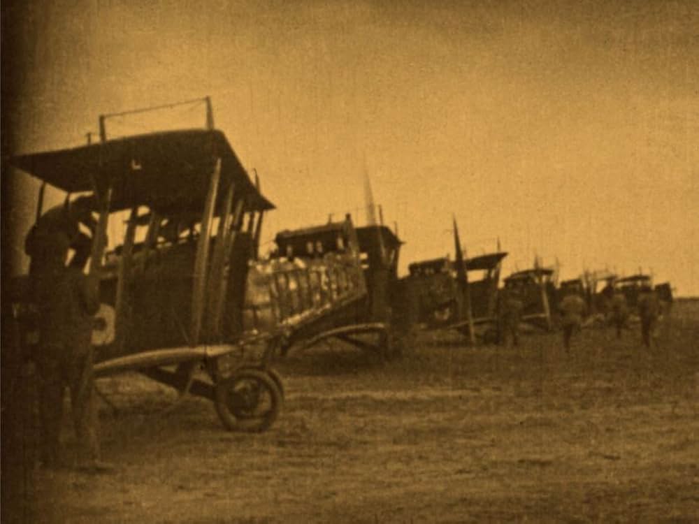 翼の輝きの画像