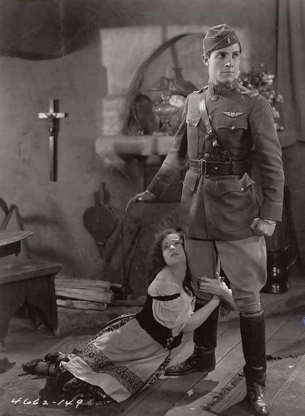 翼の輝きの画像