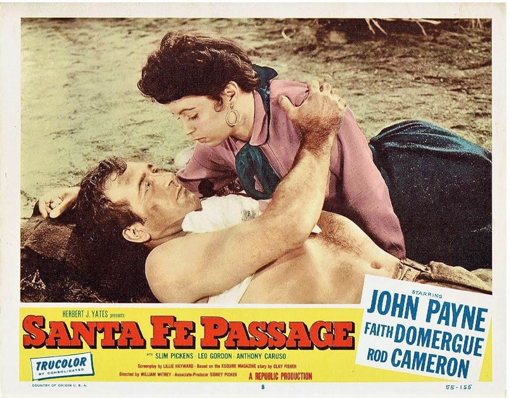 サンタフェへの道の画像