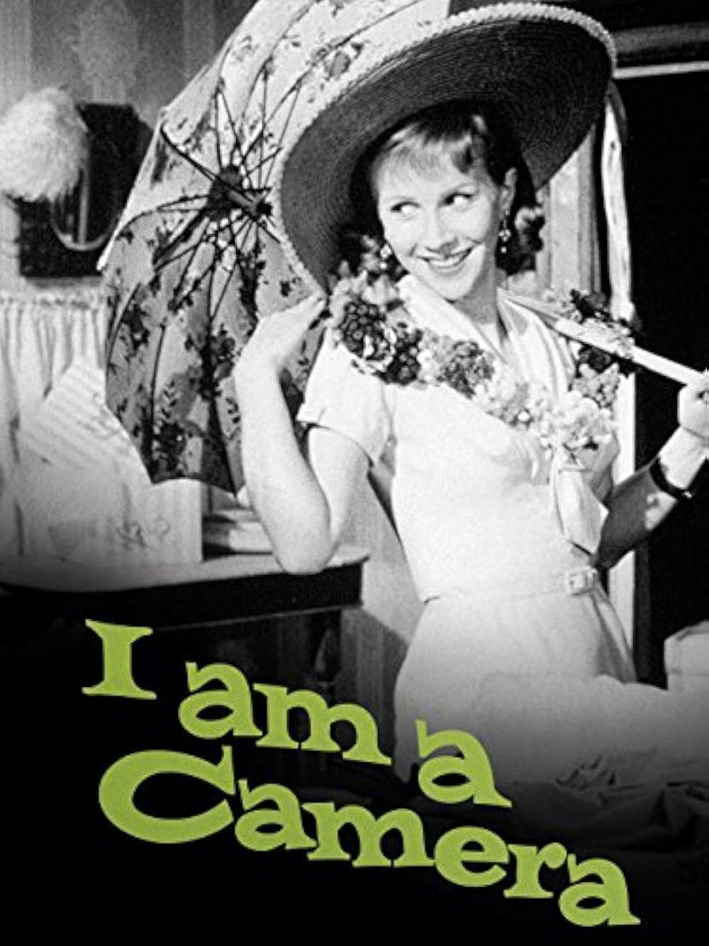 嵐の中の青春の画像