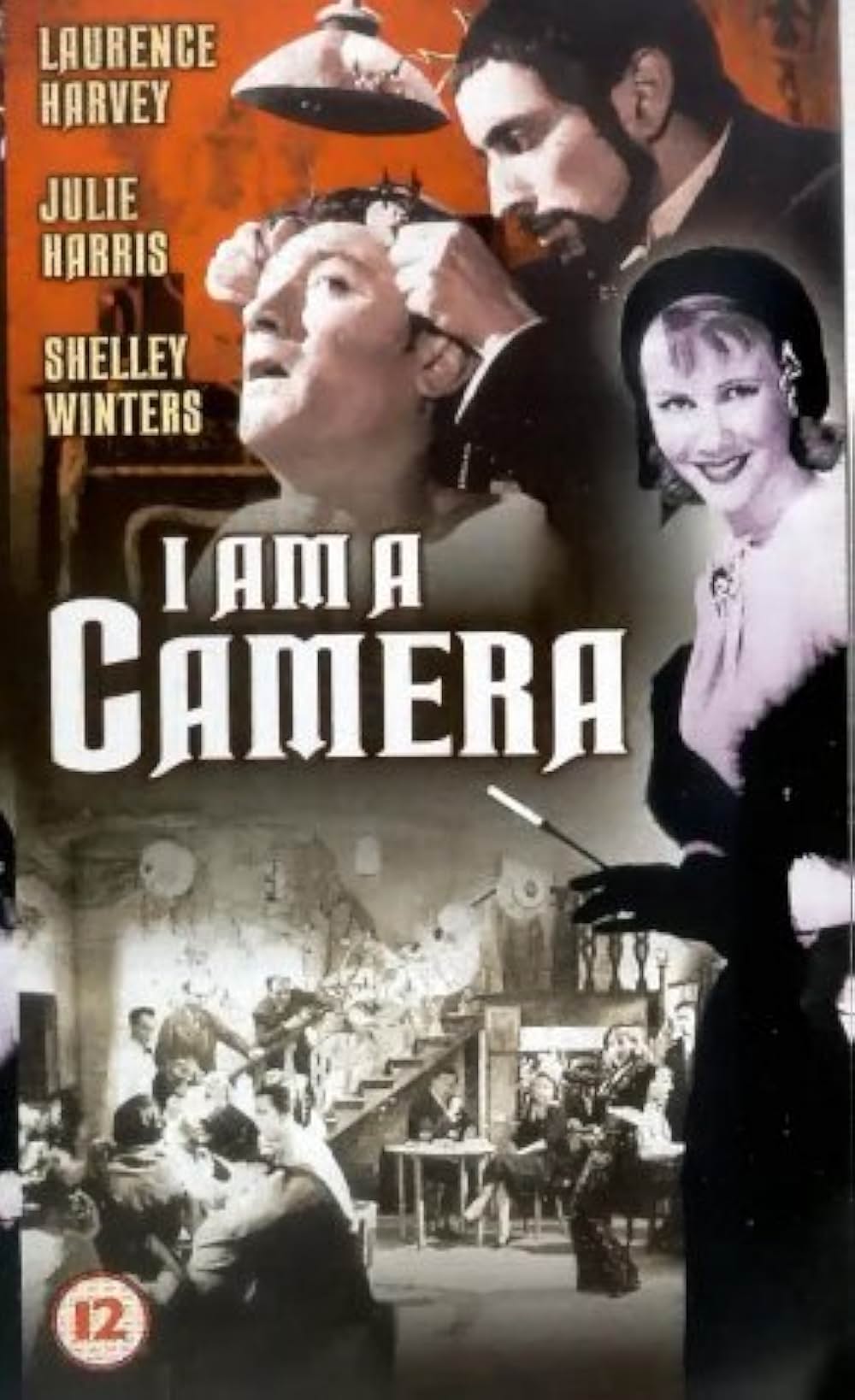 嵐の中の青春の画像