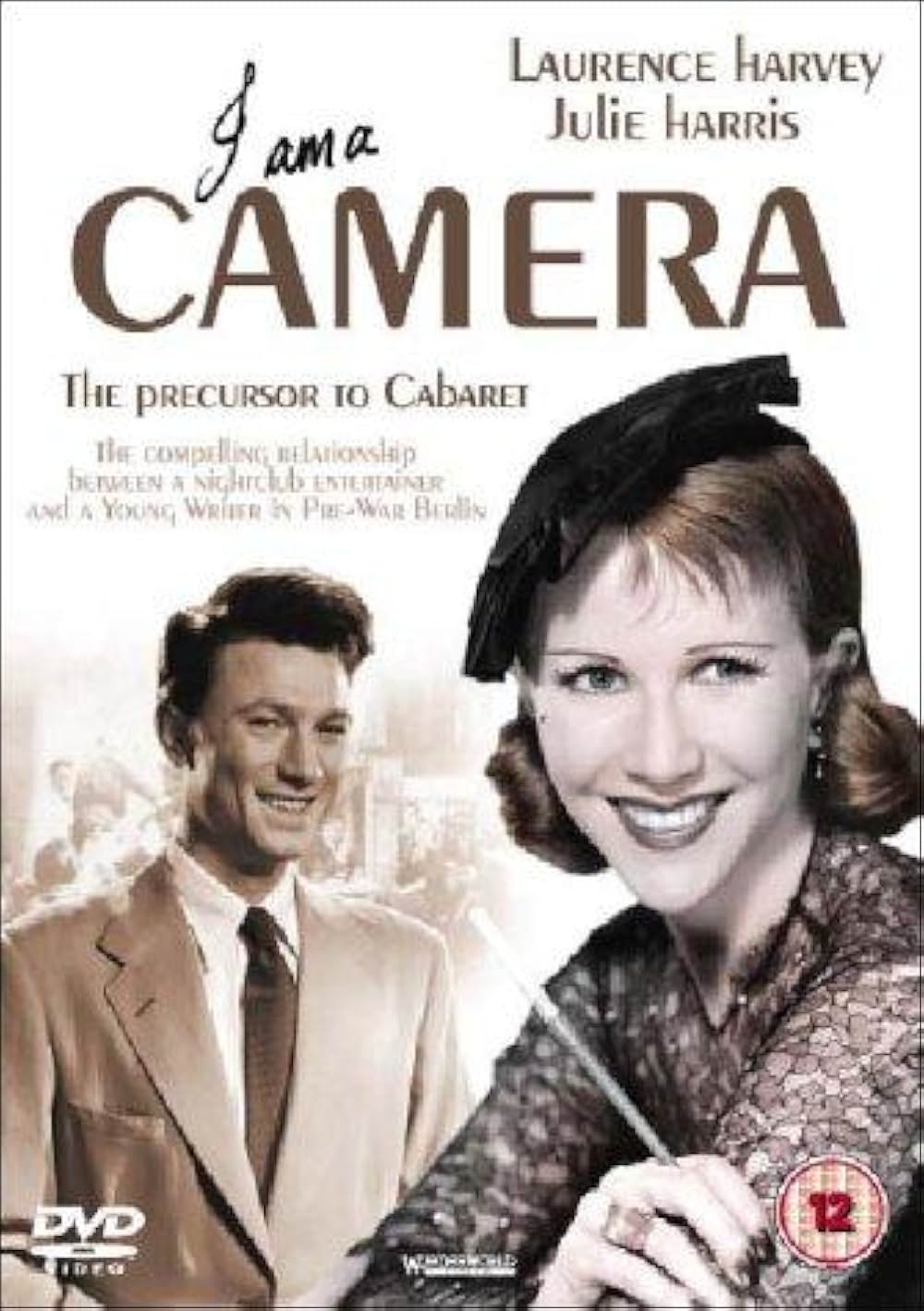 嵐の中の青春の画像